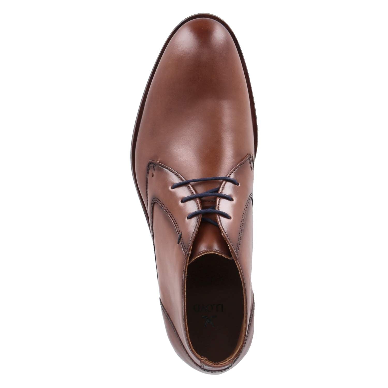 Chukka Boots DRAMON 325  Braun