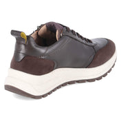 Low Sneaker  Braun