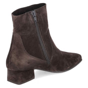 Stiefeletten  Braun
