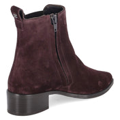 Chelsea Boots  Rot
