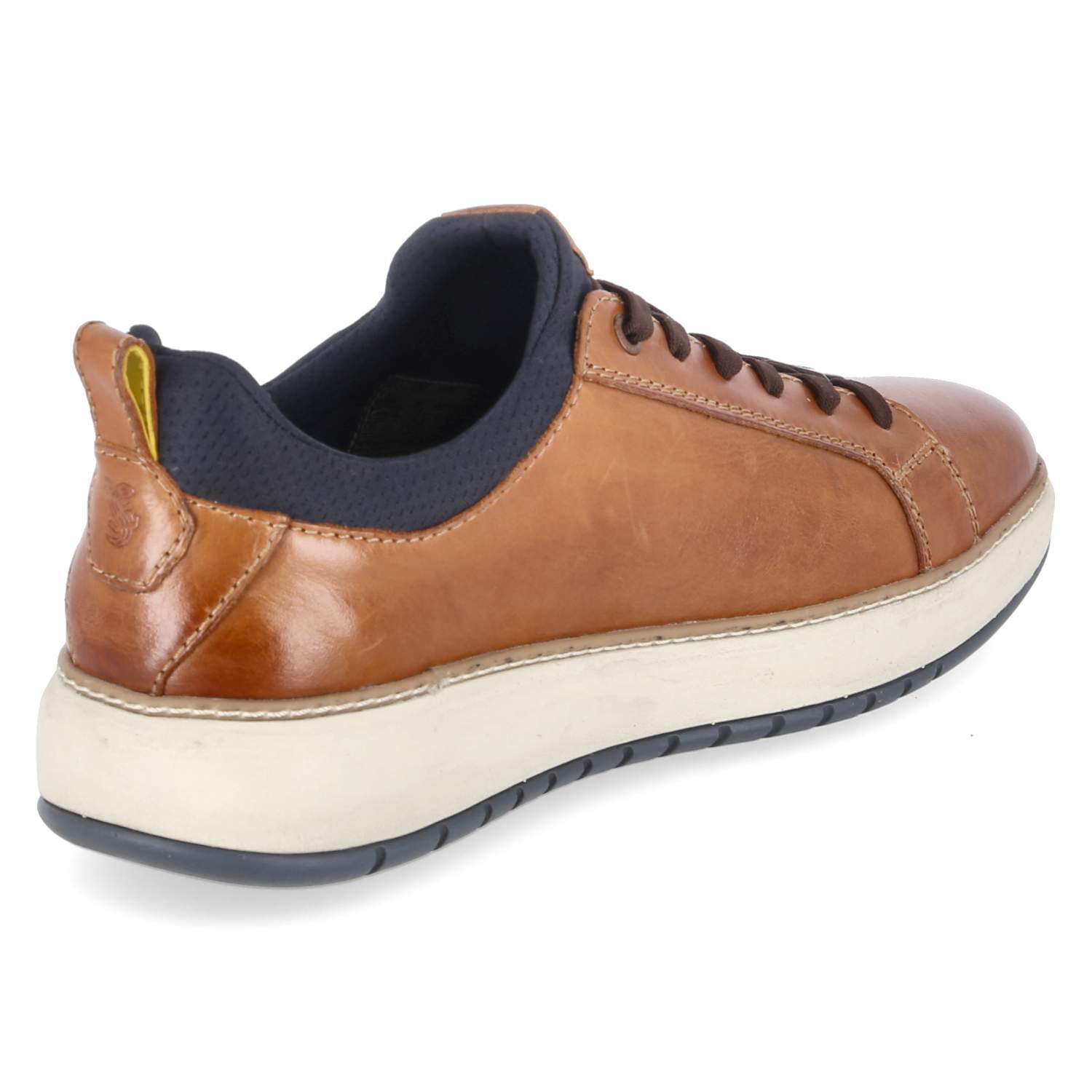 Low Sneaker  Braun