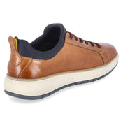 Low Sneaker  Braun