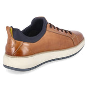 Low Sneaker Braun