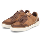 Low Sneaker  Braun