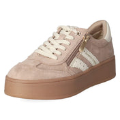 Low Sneaker  Taupe
