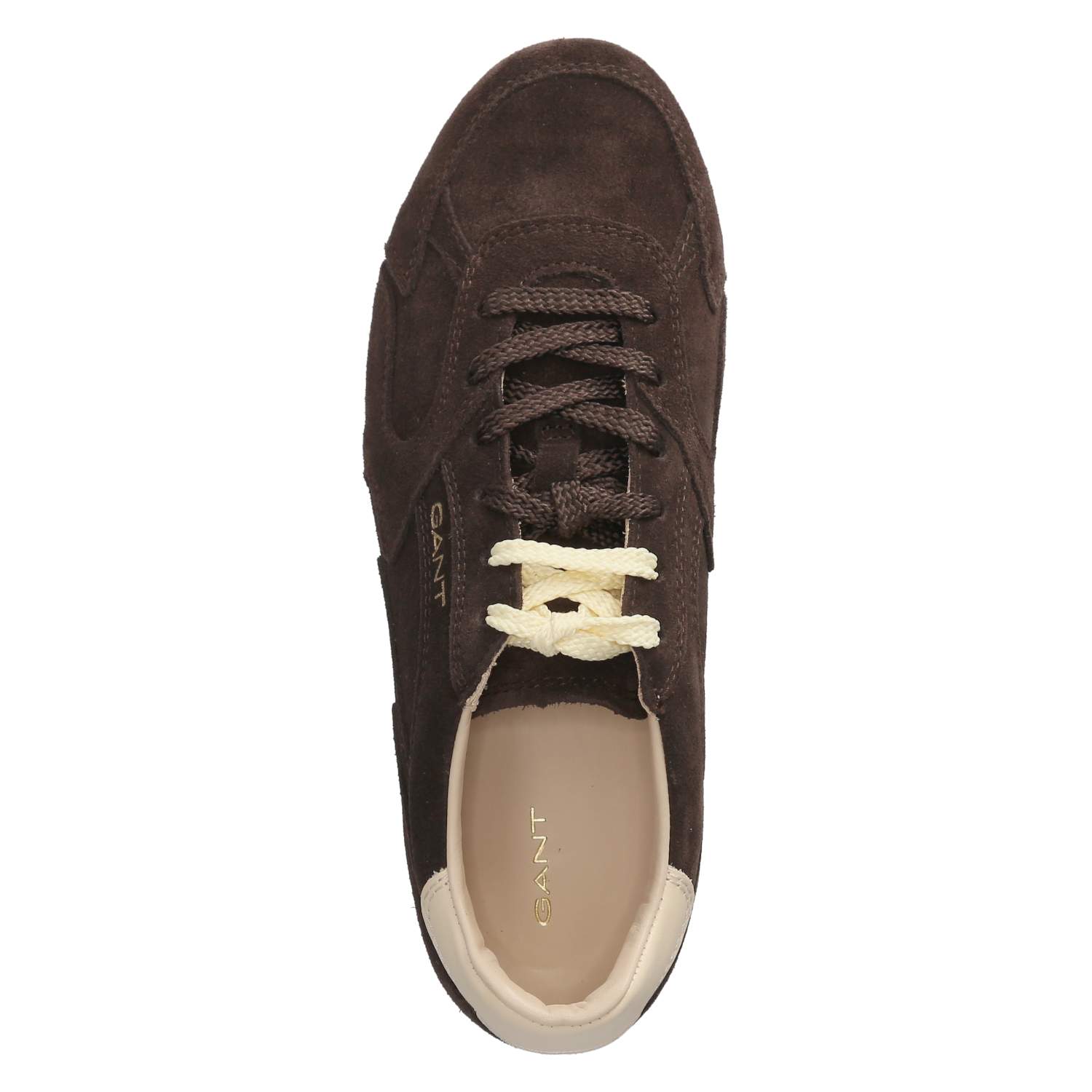 Low Sneaker SPERLY  Braun