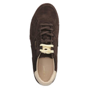 Low Sneaker SPERLY  Braun