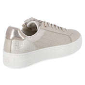 Low Sneaker  Beige