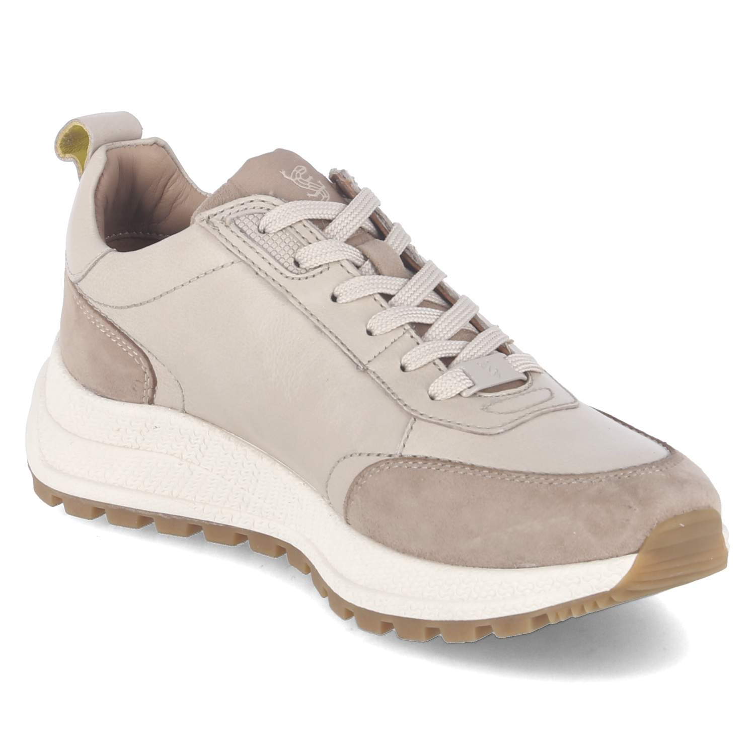 Low Sneaker  Beige