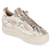 Low Sneaker  Beige