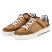 Low Sneaker  Braun