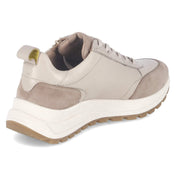 Low Sneaker  Beige
