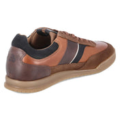 Low Sneaker  Braun