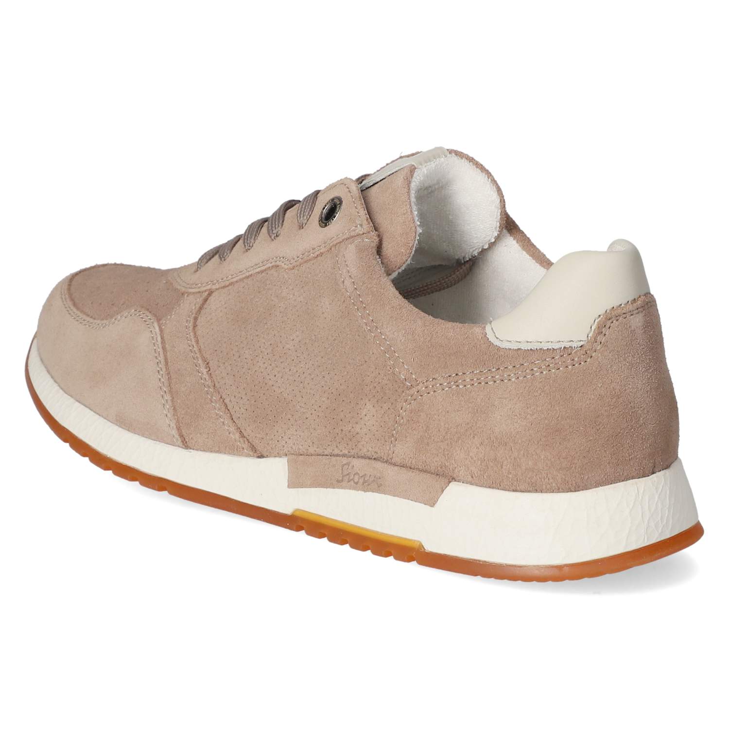 Low Sneaker ROJARO  Braun