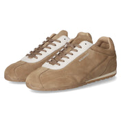 Low Sneaker  Taupe