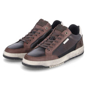 Low Sneaker  Braun