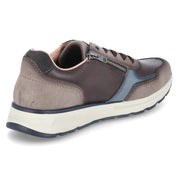 Low Sneaker  Braun