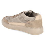 Low Sneaker  Beige