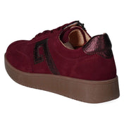 Low Sneaker VIOLET 16 H  Pink