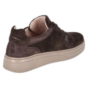 Low Sneaker  Braun