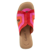 Clogs  Rot