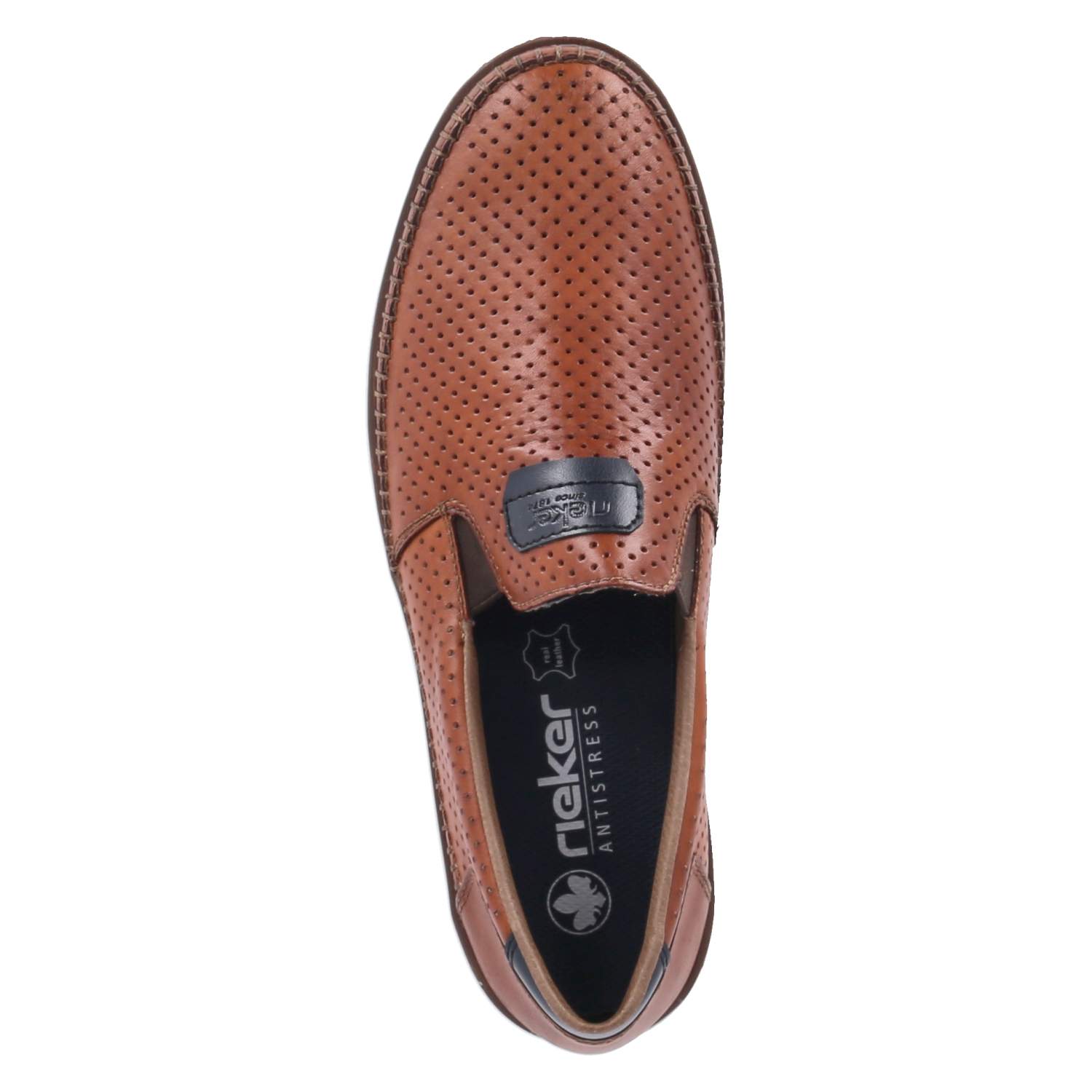 Slipper  Braun