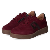 Low Sneaker VIOLET 16 H  Pink