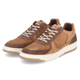 Low Sneaker  Braun