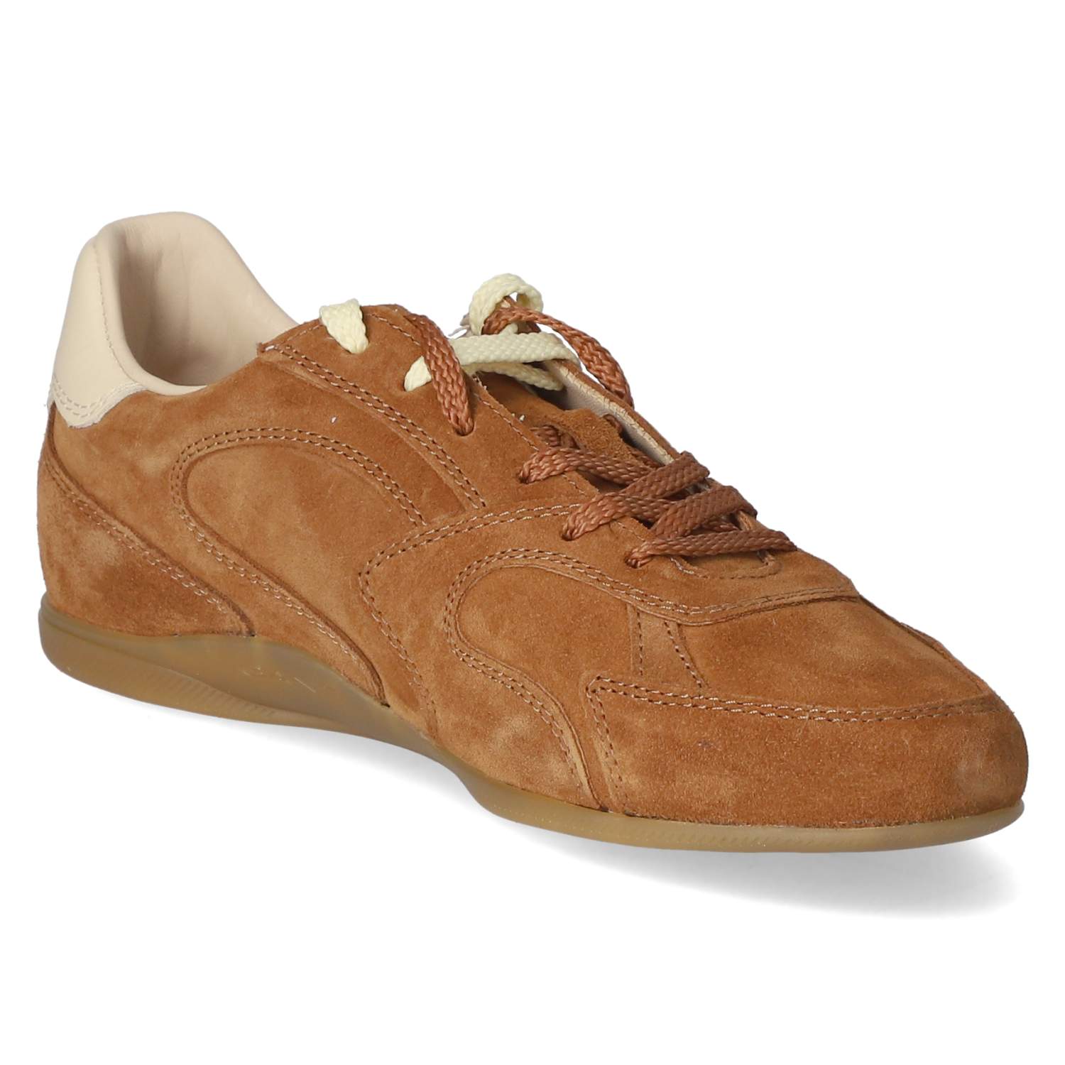 Low Sneaker SPERLY  Braun