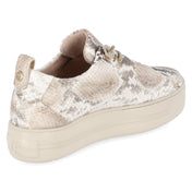 Low Sneaker  Beige