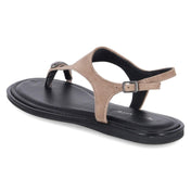 Zehentrenner-Sandalen  Braun