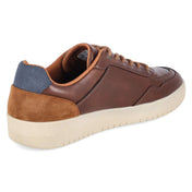 Low Sneaker  Braun