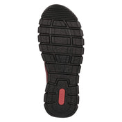 Slipper  Rot