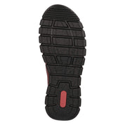 Slipper  Rot