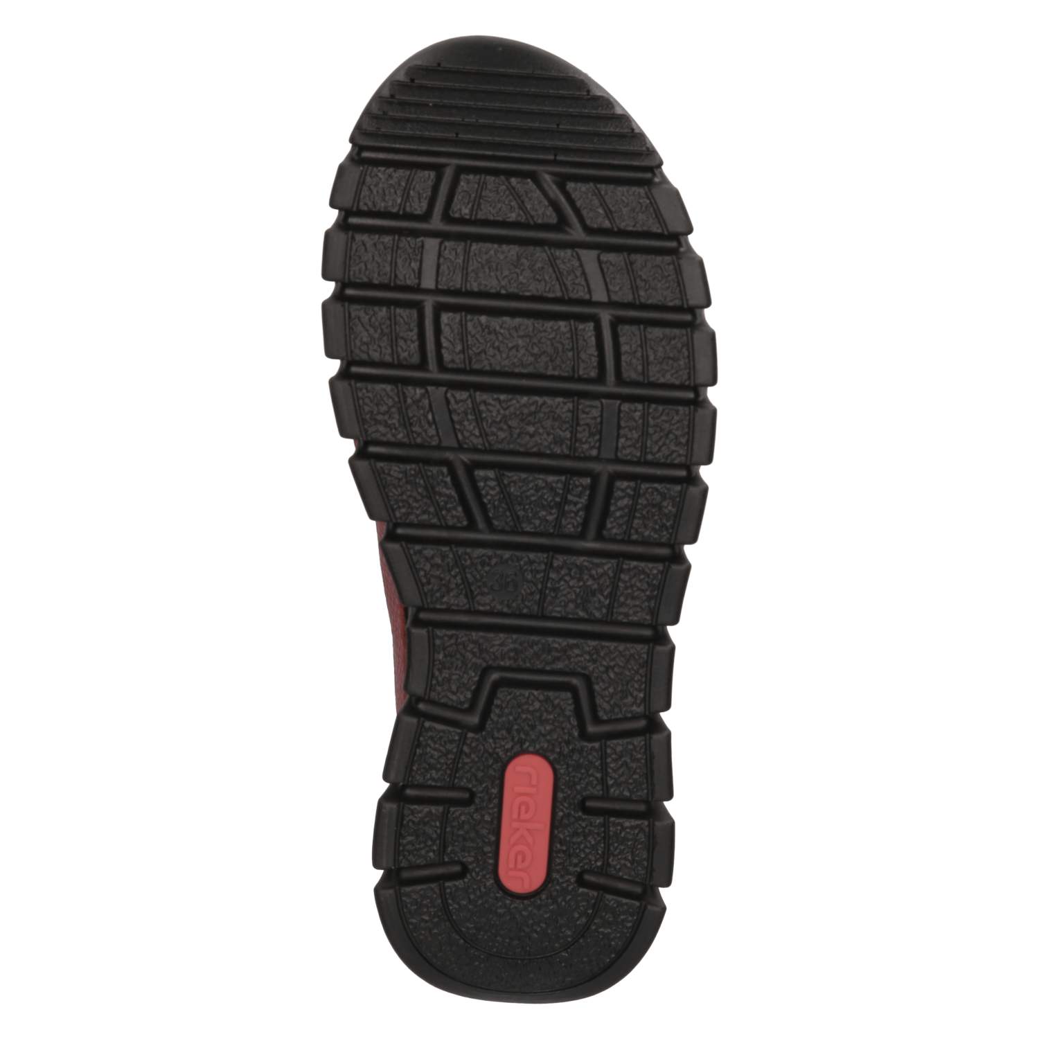 Slipper  Rot
