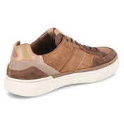 Low Sneaker  Braun