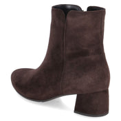 Stiefeletten  Braun