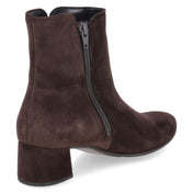 Stiefeletten  Braun