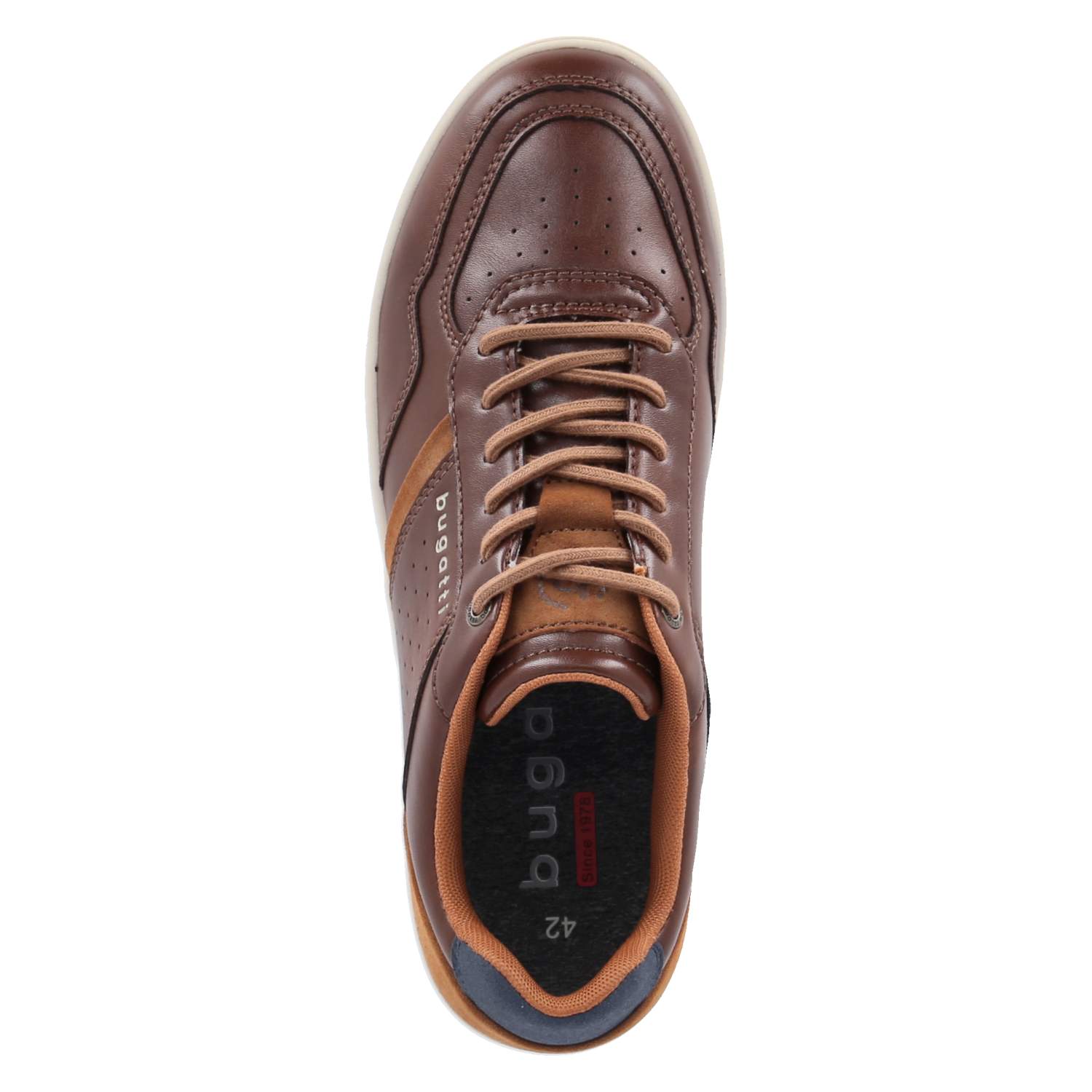 Low Sneaker  Braun