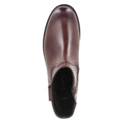 Stiefeletten  Braun