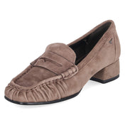 Trotteurs  Taupe