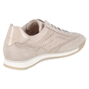 Low Sneaker  Beige