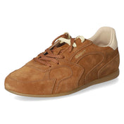 Low Sneaker SPERLY  Braun