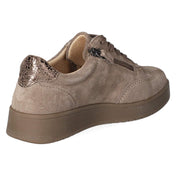Low Sneaker VIOLET  Grau