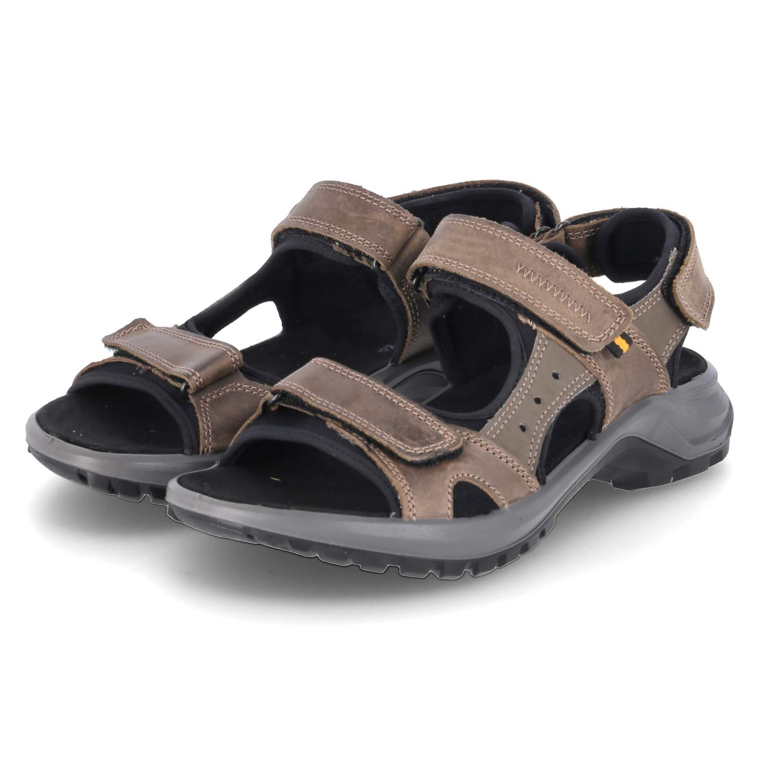 eeb82dc9a3caeeae3d55c3d405b6695538564889599976a0d79f47cb420b86fc_102481f7-6240-41d0-87bc-2bc818650c7b.jpg