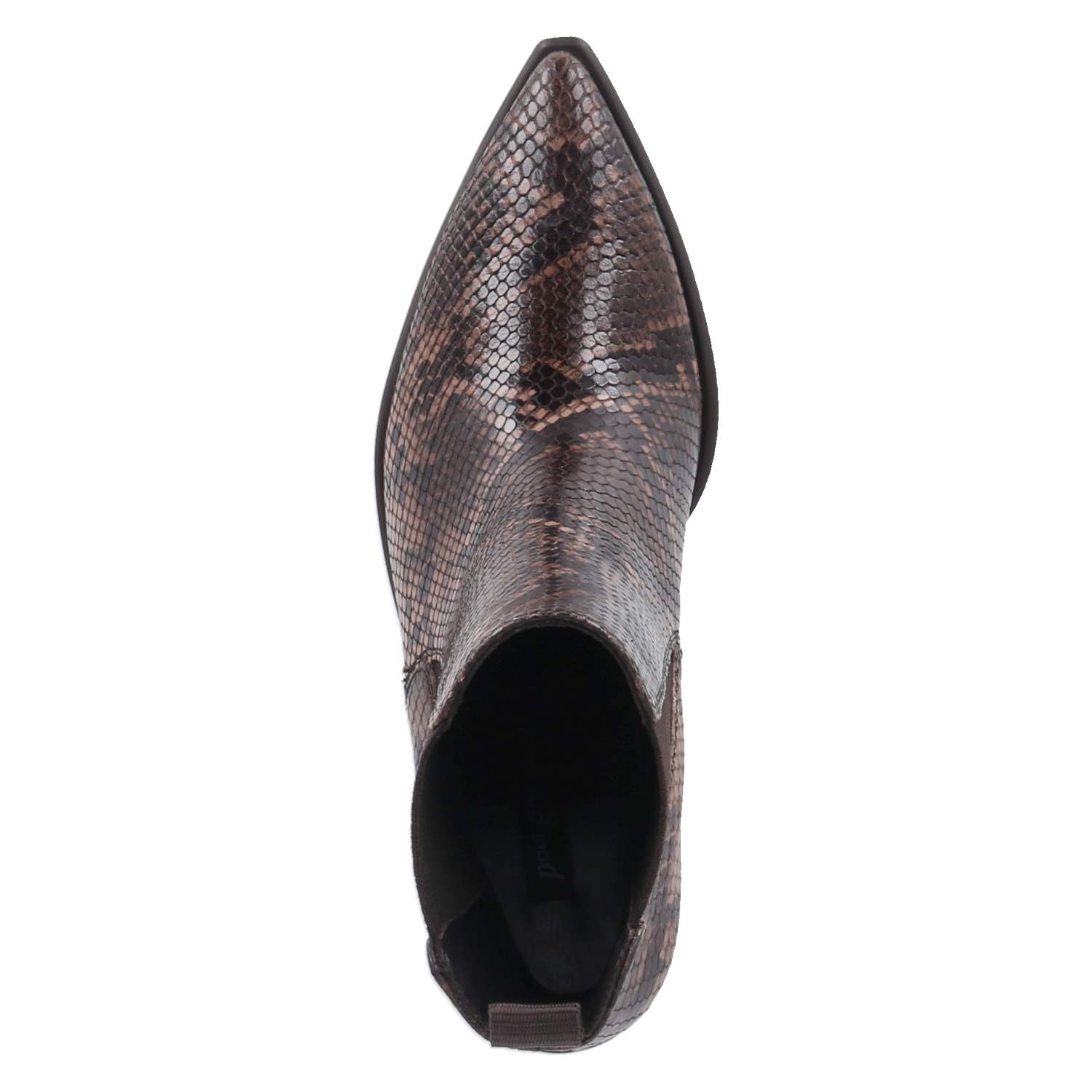 Stiefeletten  Braun