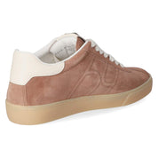 Low Sneaker  Braun