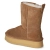 Winterstiefeletten PARIS - chestnut/white