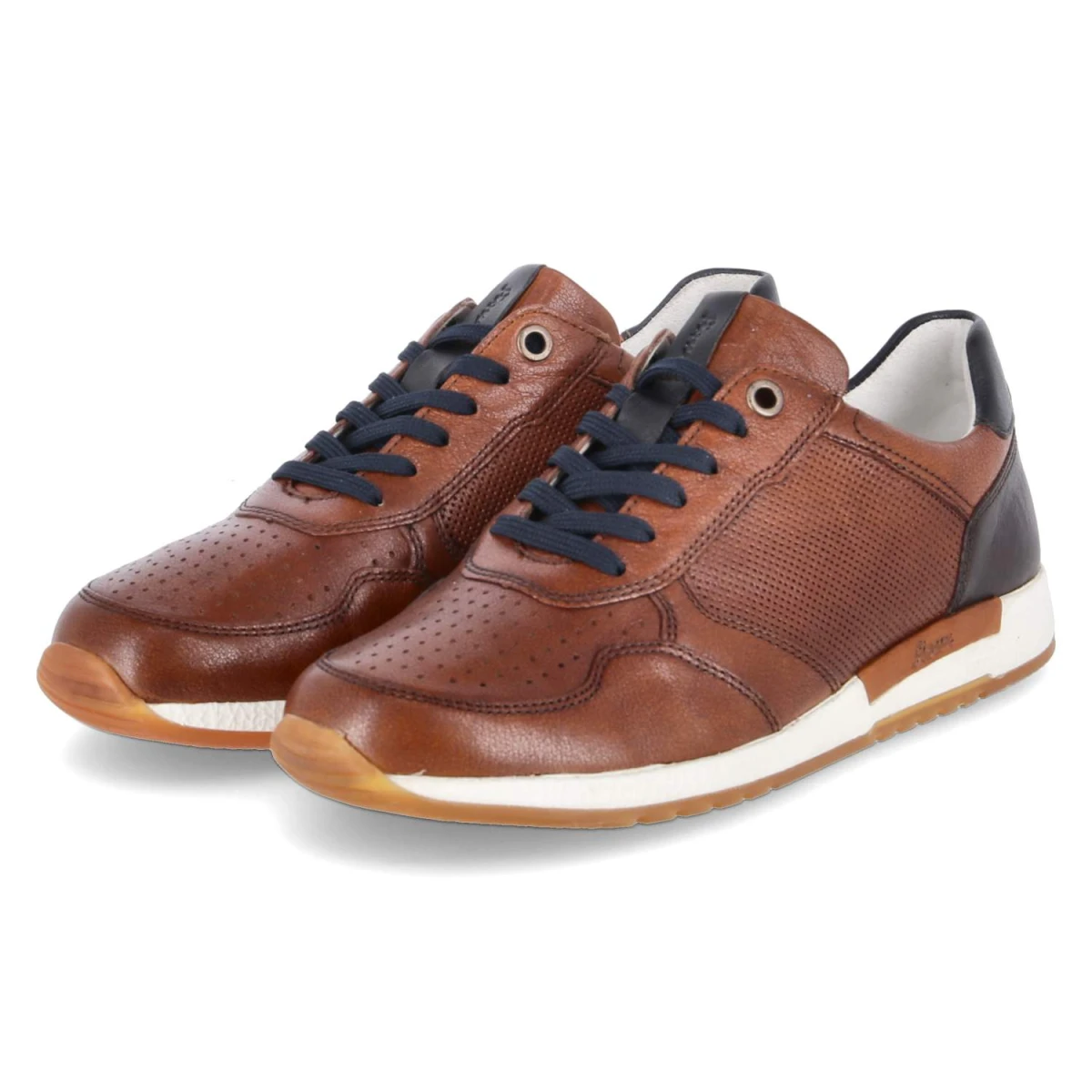 Low Sneaker ROJARO - cognac/testa-di-m.