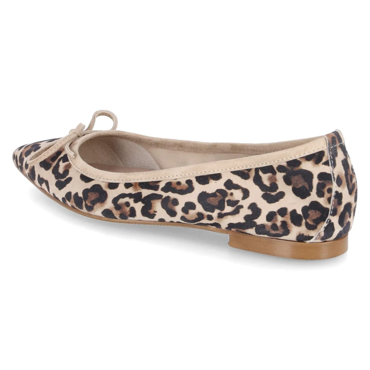 Ballerinas - CAMEL